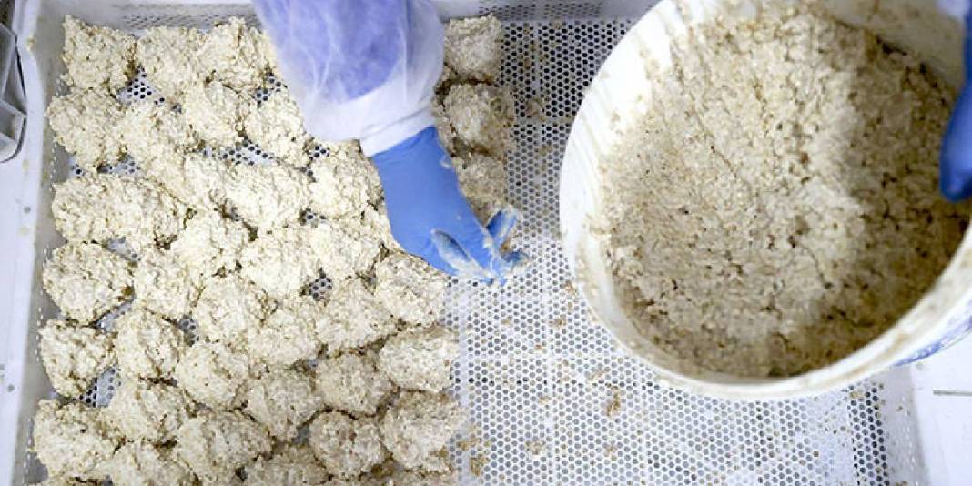 Osmanlı usulüyle yapılıyor, tesciliyle nam salıyor! Malatya’nın meşhur tarhanası ihracat için hazırlanıyor 2